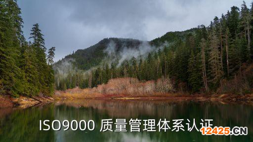 ISO9000 質(zhì)量管理體系認(rèn)證