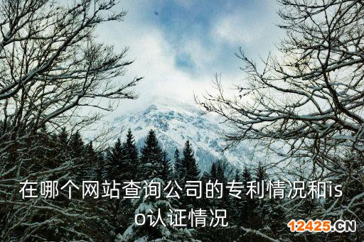 在哪個(gè)網(wǎng)站查詢(xún)公司的專(zhuān)利情況和iso認(rèn)證情況