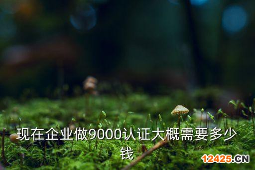 現(xiàn)在企業(yè)做9000認證大概需要多少錢