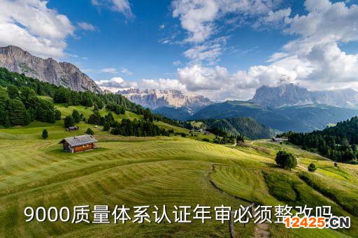 9000質量體系認證年審必須整改嗎