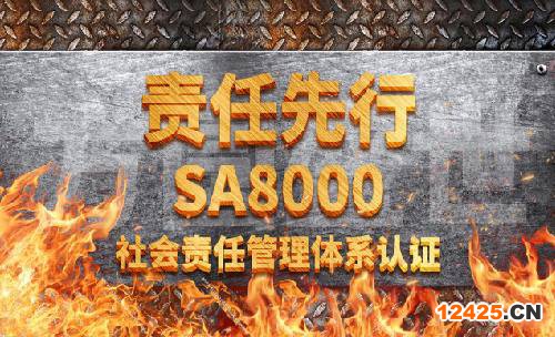 SA8000的流程.png SA8000的流程.png