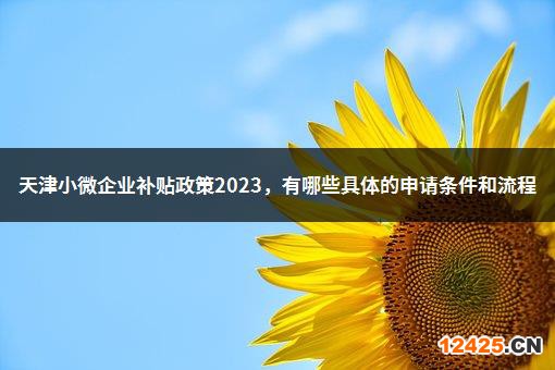 天津小微企業(yè)補(bǔ)貼政策2023.有哪些具體的申請(qǐng)條件和流程-1