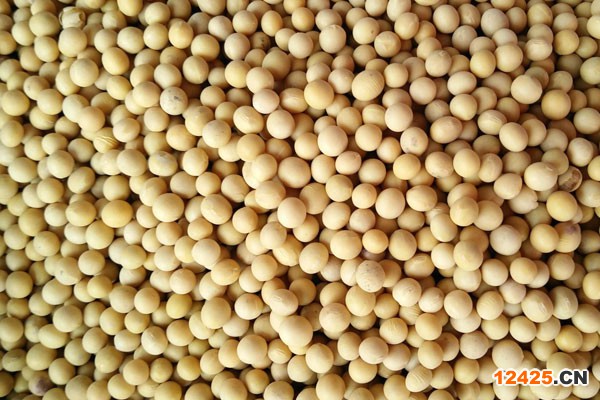 綠色食品指什么意思