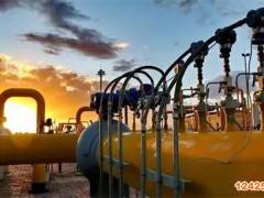 API認(rèn)證咨詢(xún)機(jī)構(gòu)