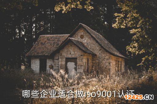 哪些企業(yè)適合做iso9001認(rèn)證