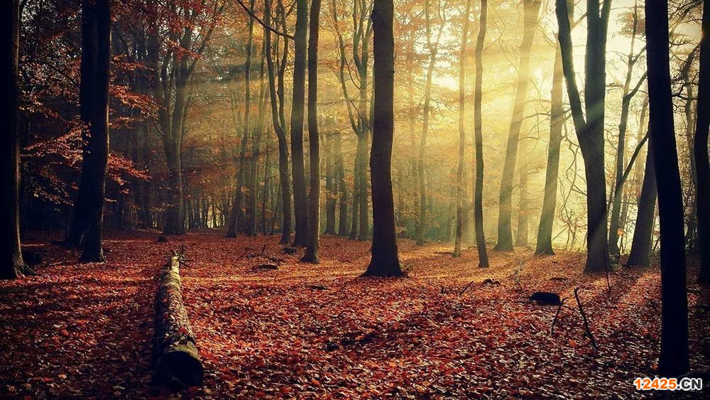 1600503622189413..jpeg 1600503622189413..jpeg